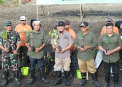 Gubernur Sulsel Beri Bantuan 1,5 Juta Pohon Bibit Murbei di Soppeng